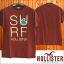 【送料無料】【セール】 ホリスター メンズ Tシャツ HOLLISTER インポート ブランド ファッション カジュアル Safari サファリ 雑誌 掲載 アメカジ サーフ スタイル 正規 商品