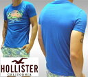 【送料無料】【セール】 ホリスター メンズ Tシャツ HOLLISTER インポート ブランド ファッション カジュアル Safari サファリ 雑誌 掲載 アメカジ サーフ スタイル 正規 商品