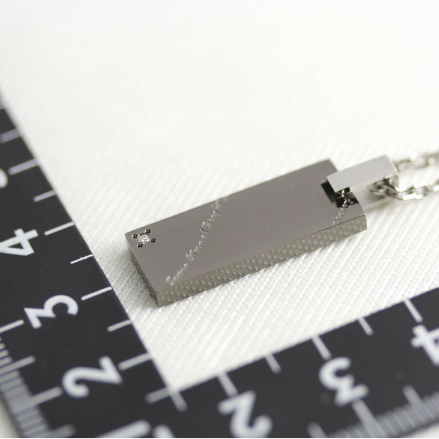 ピュア メッセージ　セピア　メンズ　レディース ダイヤモンド ステンレス ペンダント ネックレス PURE MESSAGE SEPIA PMS-131 金属アレルギー対応 ノンアレルギー アクセサリー ペア　アクセ 人気 ギフト プレゼント ご褒美