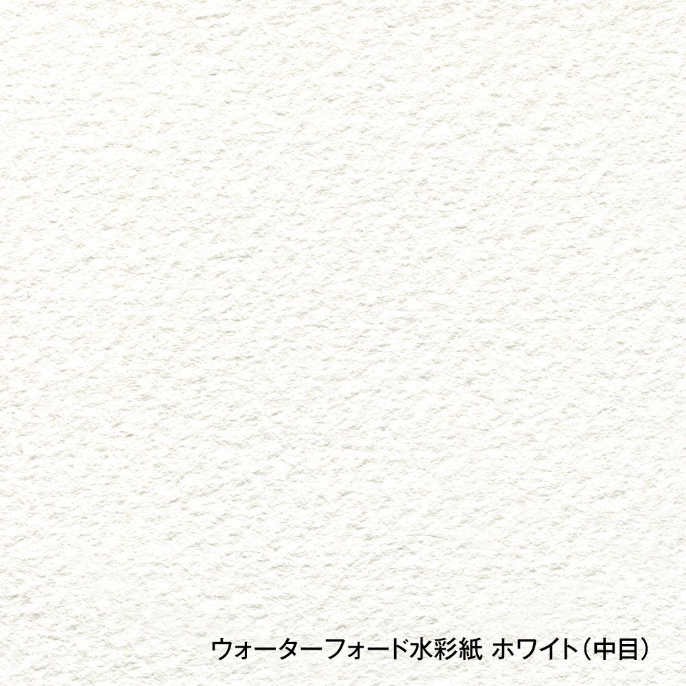 【送料無料】ホルベイン ウォーターフォード・ホワイト 水彩紙ロール 1524幅 10m 【メーカー直送品・代引き不可・日時指定不可】