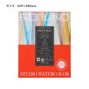 【お取り寄せ品】ボタニカル 水彩紙ファブリアーノ ウォーターカラーボタニカル パッド 細目 229×305mm