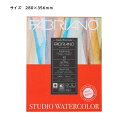【お取り寄せ品】ボタニカル 水彩紙ファブリアーノ ウォーターカラーボタニカル パッド 細目 280×356mm