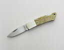 藤本ナイフ製作所 ポケットナイフ バックロック ボーンハンドル F刻印 (D-880) 東京ナイフ 本体のみ