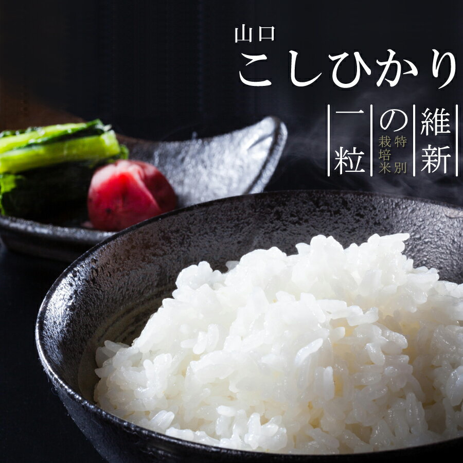 令和元年 新米 こしひかり【山口県阿東産】【送料無料】維新の一粒 5kg 特別栽培米 ギフト おすすめ 人気 お歳暮 お買い物マラソン 御祝