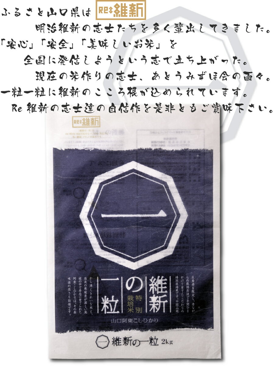 サンプル画像3