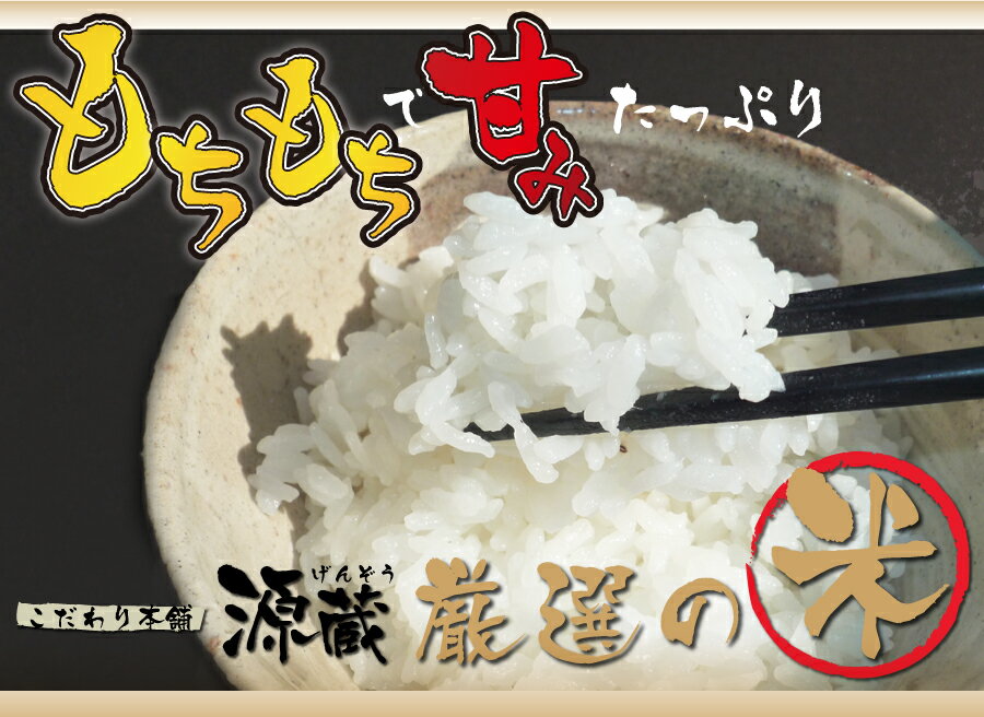 こしひかり【寿泉】10kg 令和7年度産 新米...の紹介画像2