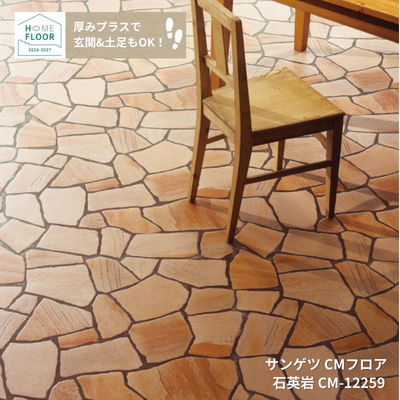 羭㤨CM-12259󥲥ĤΥåեǽåեCMեбѴHOME-FLOOR2024-2027[ưѤ꾦]פβǤʤ10ߤˤʤޤ