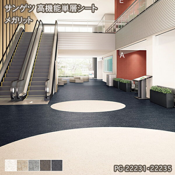 PG-22231~PG-22235【サンゲツS-FLOOR2022-2024