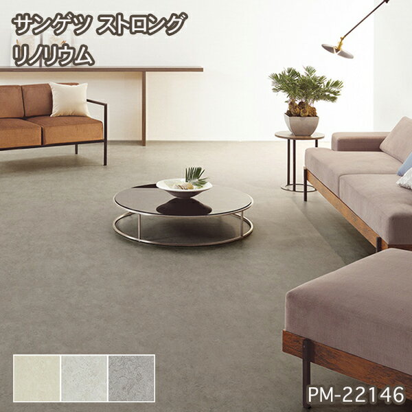 PM-22144,PM-22145,PM-22146【サンゲツS-FLOOR