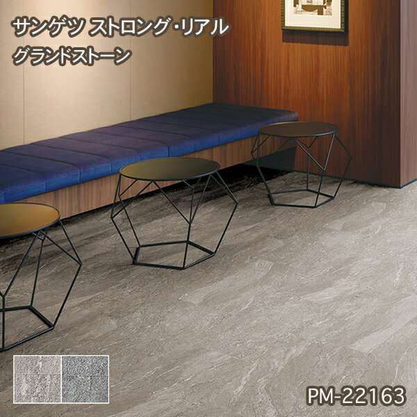 PM-22163,PM-22164【サンゲツS-FLOOR2022-2024