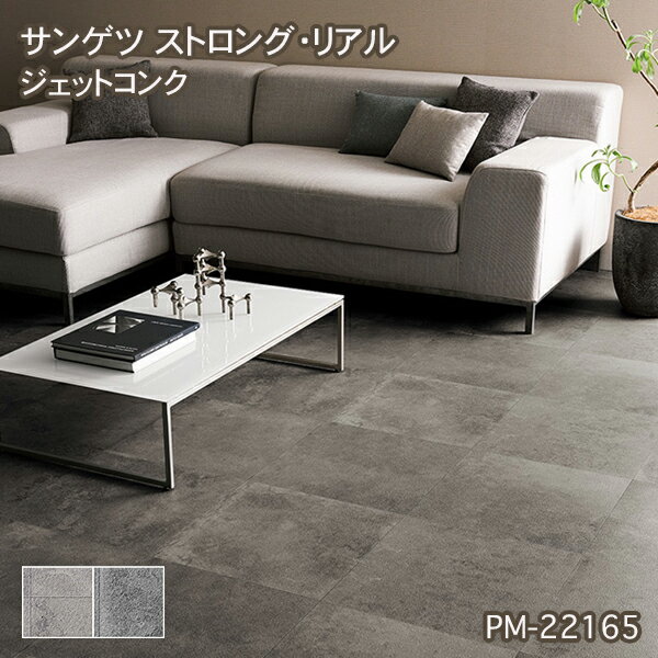 PM-22165,PM-22166【サンゲツS-FLOOR2022-2024