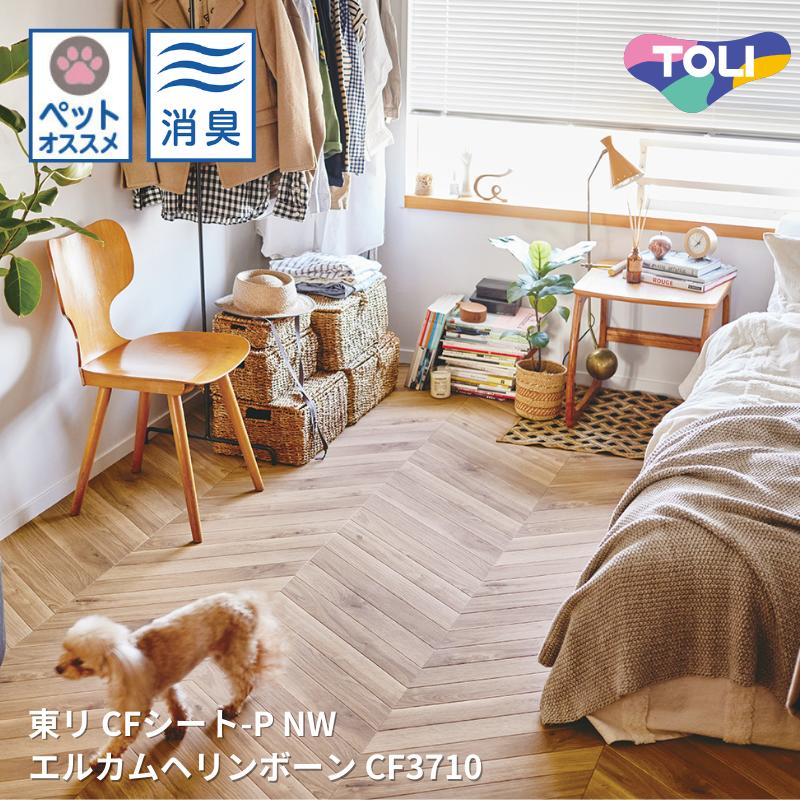 羭㤨CF3710,CF3711륫إܡ åեCF-P-NW ꥷȥ쥯CF2024-2027 [ưѤ꾦][cate_pet]פβǤʤ10ߤˤʤޤ