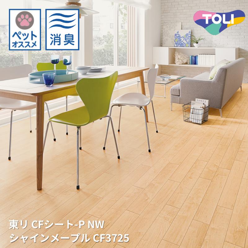 CF3725㥤᡼ץ åեCF-P-NW ꥷȥ쥯CF2024-2027 [ưѤ꾦]