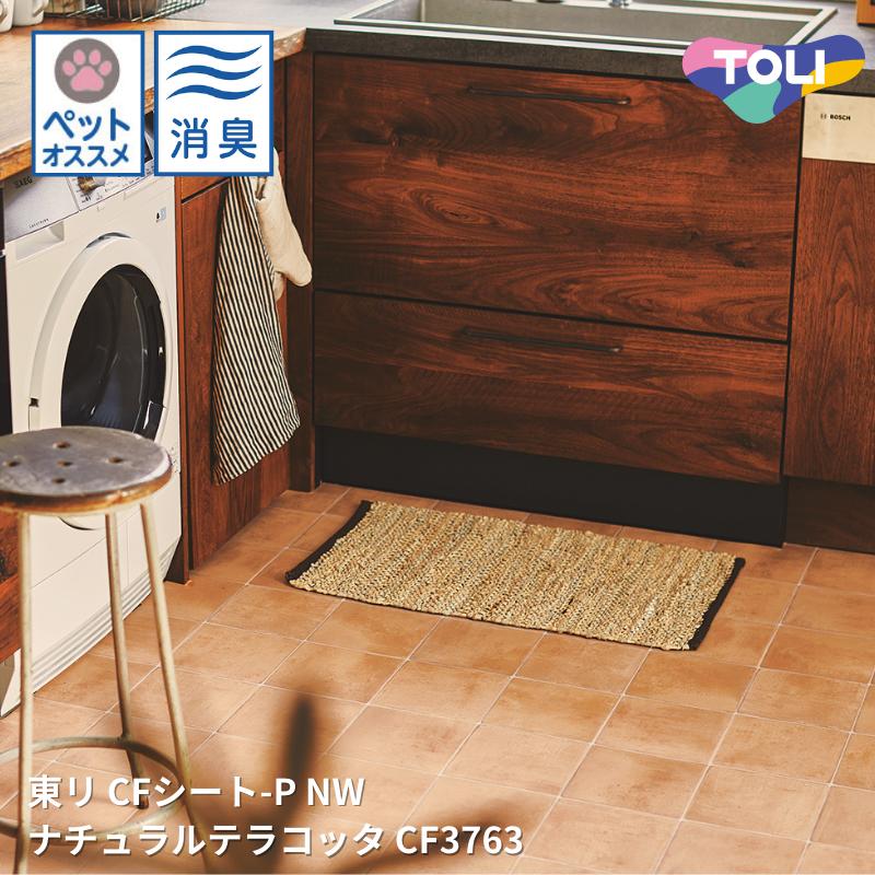 CF3763ʥƥ饳å åեCF-P-NW ꥷȥ쥯CF2024-2027 [ưѤ꾦]