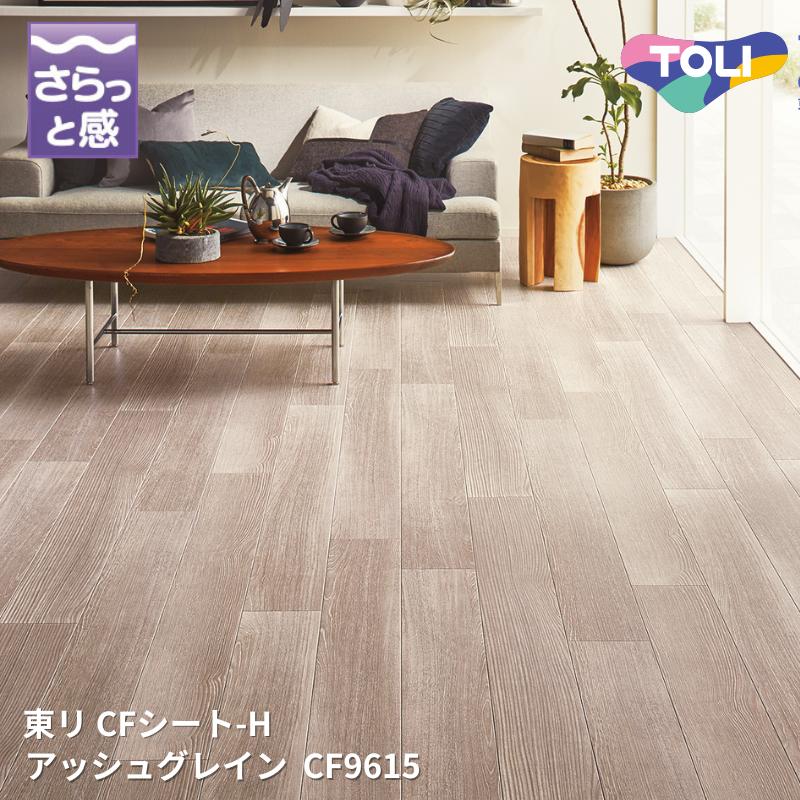 CF9615å奰쥤󥯥åեCF-H ꥷȥ쥯CF2024-2027 [ưѤ꾦]