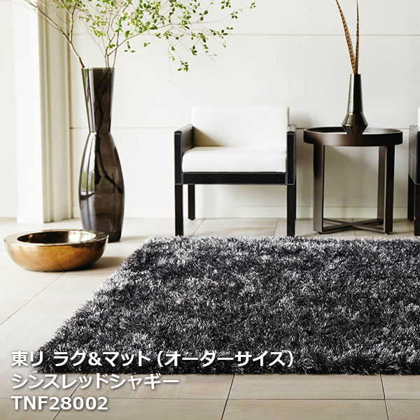 TNF28001,TNF28002,TNF28003,TNF28004 󥹥åɥ㥮 [饰&ޥå2024-2026] [ưѤ꾦]