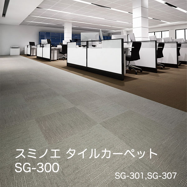 SG-301~SG-311 X~mG ^CJ[ybg ECOS SG-300 50cmp20/P[X