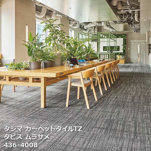 タピス ムラサメ タジマ タイルカーペットTZ 436-4001~436-4008 50cm角 16枚/ケース 販売