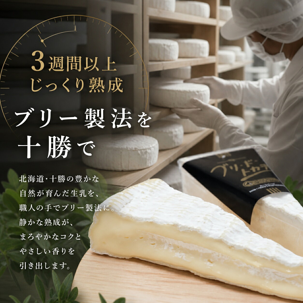 十勝ブレーン通販の北海道十勝 ブリ・ド・トカチ 120g×3個 十勝野フロマージュ ナチュラルチーズ 白カビチーズ 冷蔵 ギフト クール便｜アングル3