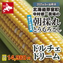 北海道十勝芽室町産:とうもろこし「ドルチェドリーム」50本「8月お届け」