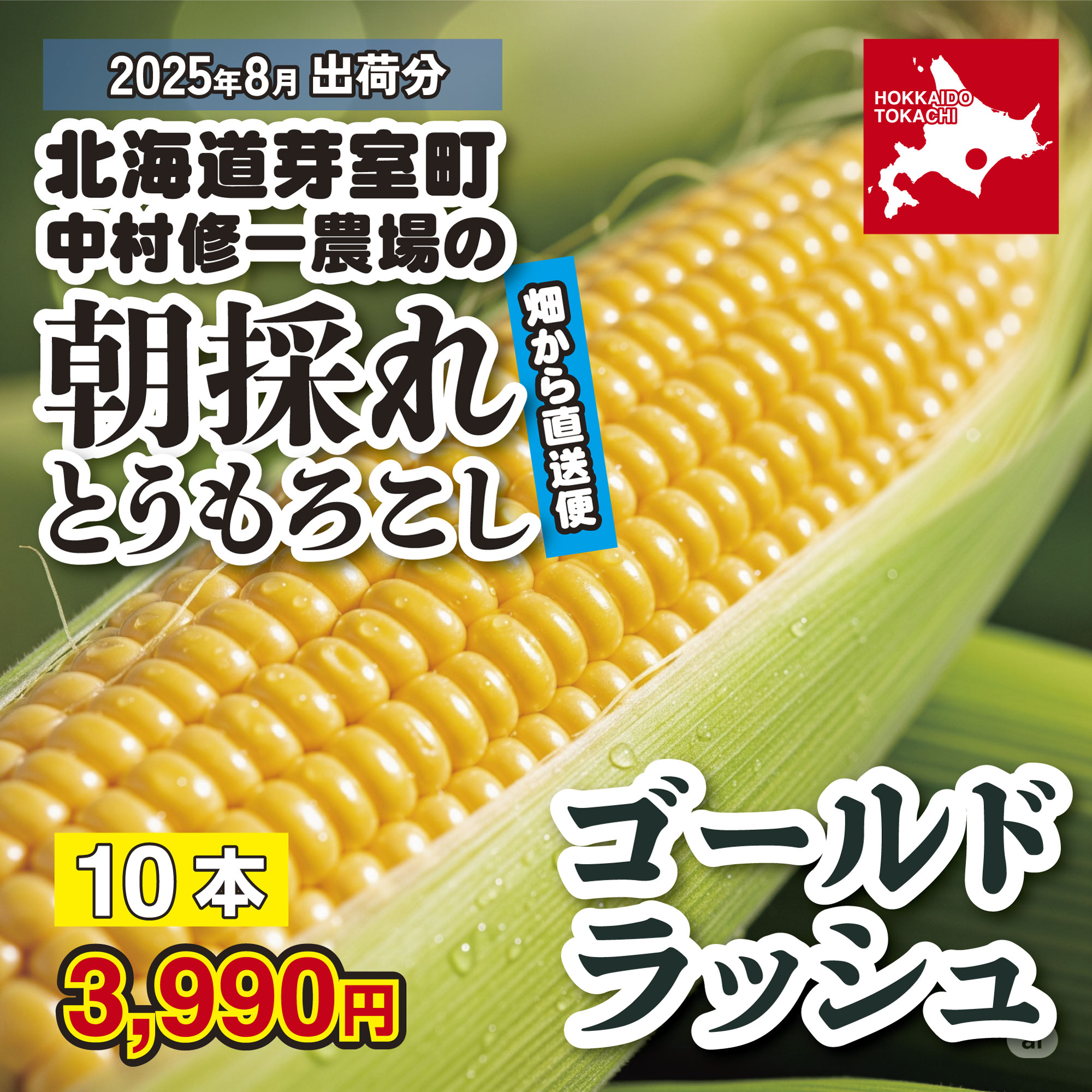 北海道十勝芽室町産：とうもろこし「ゴールドラッシュ」10本「8月お届け」