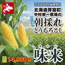 北海道十勝芽室町産:とうもろこし「味来(みらい)」50本「8月お届け」