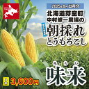 北海道十勝芽室町産:とうもろこし「味来(みらい)」8本「8月お届け」 【i】