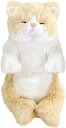 ひざねこ すやすや S ぬいぐるみ クリーム 全高約34cm P-1383