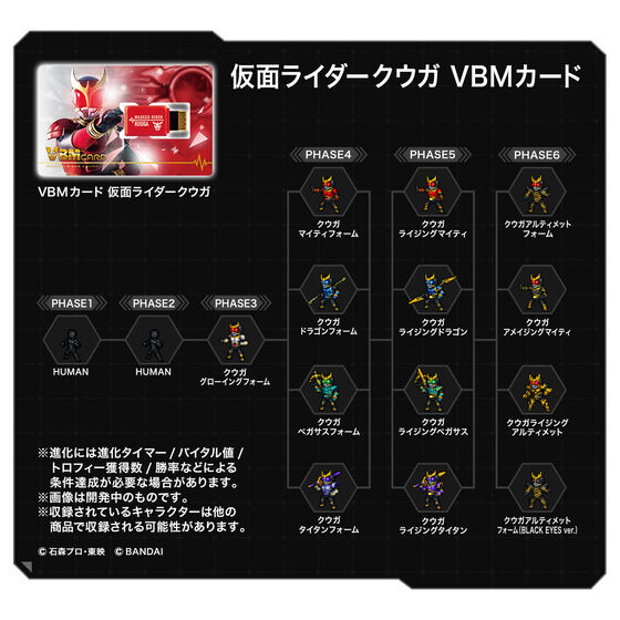 �Х�����֥쥹 VBM������ ���̥饤����������