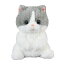 ぽちゃねこまるST ましゅまろ(はちわれ) ぬいぐるみ 高さ約15cm 703934 1,251円