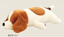 プレミアムねむねむアニマルズ コーイケルホンディエ犬　抱き枕L　人に寄り添う抱き枕　全長約70cm　コーイケルホンディエぬいぐるみ