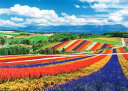 ジグソーパズル 2000スーパースモールピース 日本風景 虹色の四季彩の丘-北海道 38×53cm 54-240