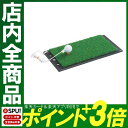 お休みの日は太極拳スイング それいけ ol40代