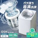 【設置込みも選べる】 洗濯機 10kg 縦型 自動投入 アイリスオーヤマ 10キロ 風乾燥モード 省エネ 節水 節電 極渦洗浄 全自動洗濯機 縦型洗濯機 一人暮らし OSH ITW-100A02-W ITW-100A01-W TCW-100A01-W * 【HS】