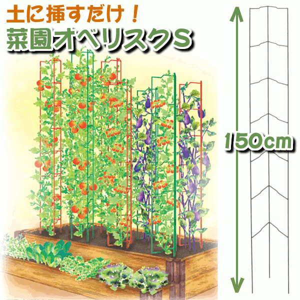 菜園オベリスクS　グリーン　GSTR-KO05SG【D】タカショー［トレリス/家庭菜園/ベランダ菜園/ガーデニング/緑のカーテン/グリーンカーテン/キュウリ/ゴーヤ/トマト/つる植物/誘引/仕切り/シンプル/DIY/diy/通販］