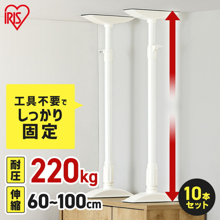 家具転倒防止 突っ張り棒 アイリスオーヤマ 家具転倒防止伸縮棒 Lサイズ 10本セット 伸縮幅 60～100cm 耐圧220kg 家具 固定 防災 災害 地震対策 防災用品 工具不要 つっぱり棒 家具転倒防止グッズ 転倒防止器具 KTB-60R *