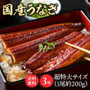 【3尾】特大鰻(約200g/尾) うなぎ かば焼き 国産 鰻蒲焼 冷凍 600g 目利き 厳選 大阪中央卸売市場 土用 Tokka 【TD】 【代引不可】
