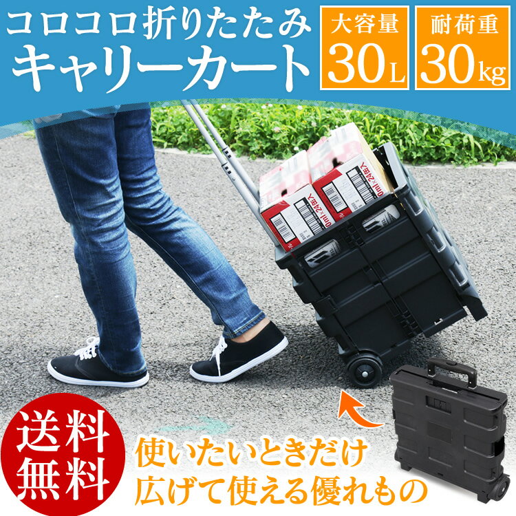 \5%オフクーポン配布中/【即納★】キャリーカート 折りたたみ ZD-01M 折りたたみキャリーカート キャリー カート 折りたたみ コンパクト コンテナカート キャリーカート ショッピングカート レジャー キャンプ アウトドア アウトドアキャリー BBQ 持ち運び 送料無料通販格安セール情報 楽天 通販