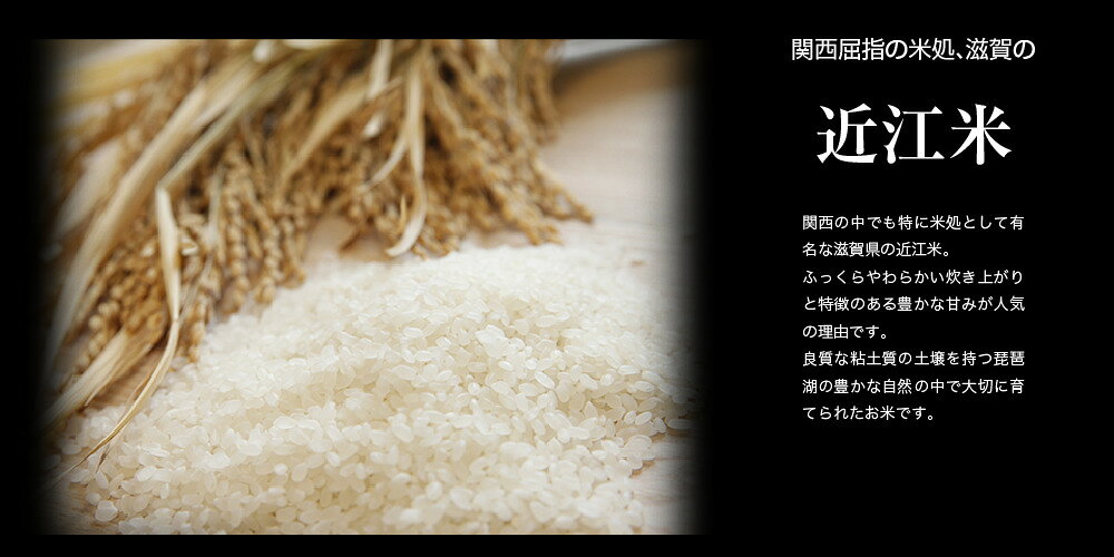 令和7年産　近江米　秋の詩　10kg