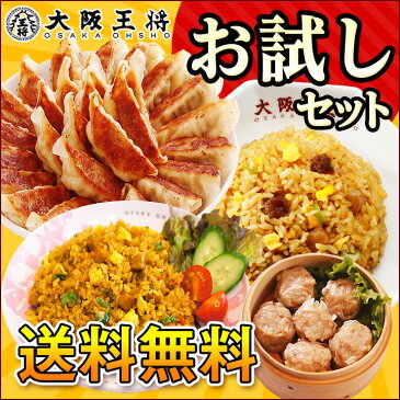 餃子送料無料大阪王将冷凍食品お試しセットギョウザギョーザ炒飯