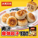 肉汁爆弾餃子 大阪王将 餃子 ギョウザ ぎょうざ 冷凍食品 お取り寄せ グルメ