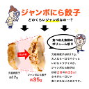 ＜大阪王将 ジャンボにら餃子 15個入＞冷凍食品 通販 お取り寄せ お取り寄せグルメ 中華 仕送り 簡単調理 冷凍餃子 業務用 元祖肉餃子 ぎょうざ スタミナ プレゼント 3