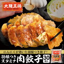 <大阪王将 羽根つきスタミナ肉餃子30個> 餃子 冷凍食品 ギョウザ 冷凍餃子 ぎょうざ お取り寄せ グルメ