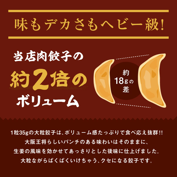 春雨と生姜の龍王餃子【発売記念!1袋購入につき、1袋オマケついてくる!2/15まで期間限定】