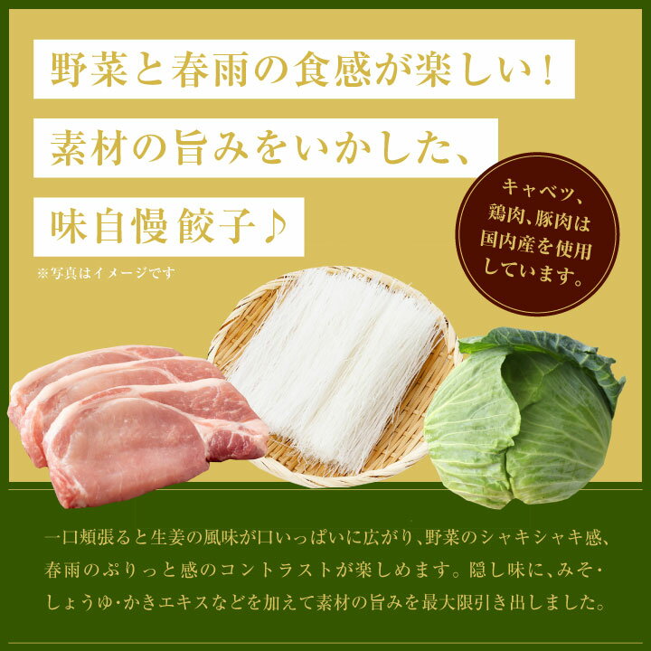 春雨と生姜の龍王餃子【発売記念!1袋購入につき、1袋オマケついてくる!2/15まで期間限定】