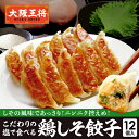 <大阪王将 鶏しそ餃子 12個入(特製赤穂の塩付き)>ぎょうざ ギョウザ ギョーザ 冷凍餃子 冷凍食品 通販 お取り寄せ お取り寄せグルメ 簡単 テレワーク 備蓄 中華 惣菜 仕送り