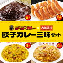 【期間限定10%OFFクーポン!7777円→6999円】 <ゴーゴーカレー×大阪王将 餃子カレー三昧セット> チャーハン 炒飯 冷凍食品 カレー炒飯 カレー 餃...