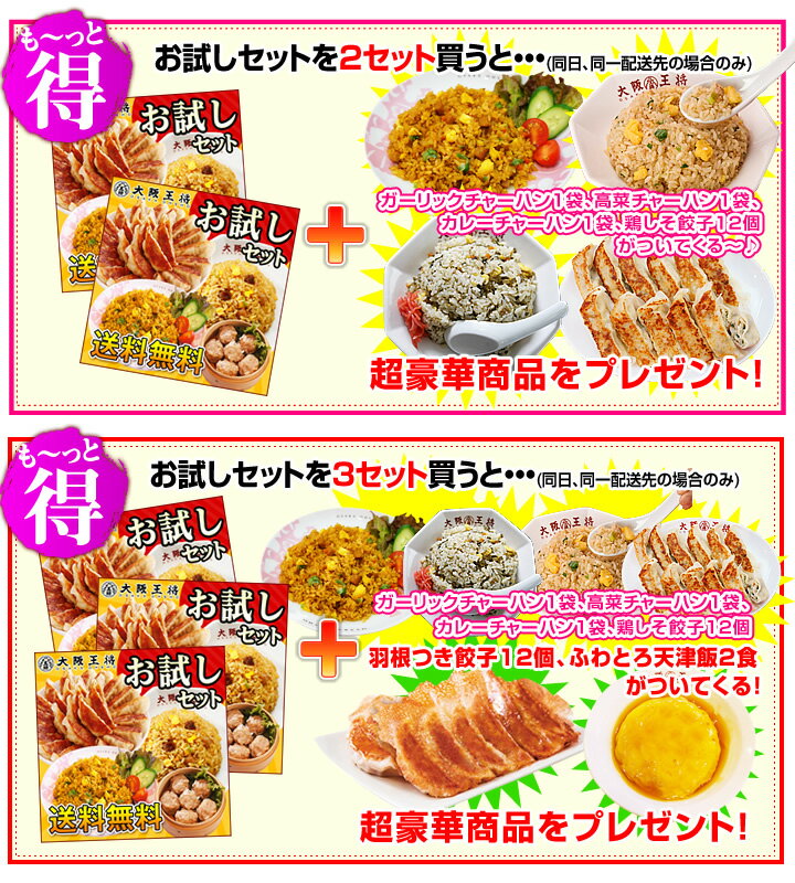 餃子送料無料大阪王将冷凍食品お試しセットver.8ギョウザ　炒飯　仕送り　敬老の日　お中元　ギフトセット