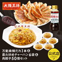 【期間限定30%OFFクーポン!6858円→4800円】<大阪王将 万能麻辣だれ1本&直火炒めチャーハン6袋&肉餃子50個セット > 肉餃子 ぎょうざ ギョウザ...
