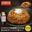 <大阪王将 万能麻辣だれ1本&直火炒めチャーハン1袋> 冷凍食品 通販 チャーハン 炒飯 焼き飯 ごはん お取り寄せ ドレッシング 調味料 中華 お取り寄せ プ...